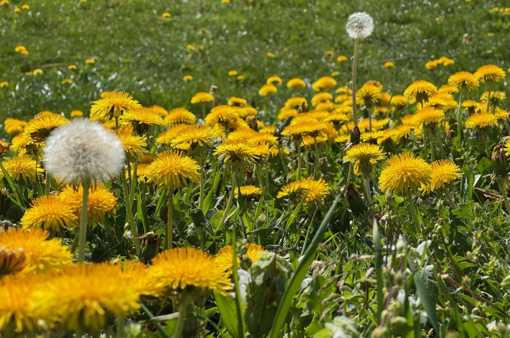 Hör auf dein Herz und alles ist möglich